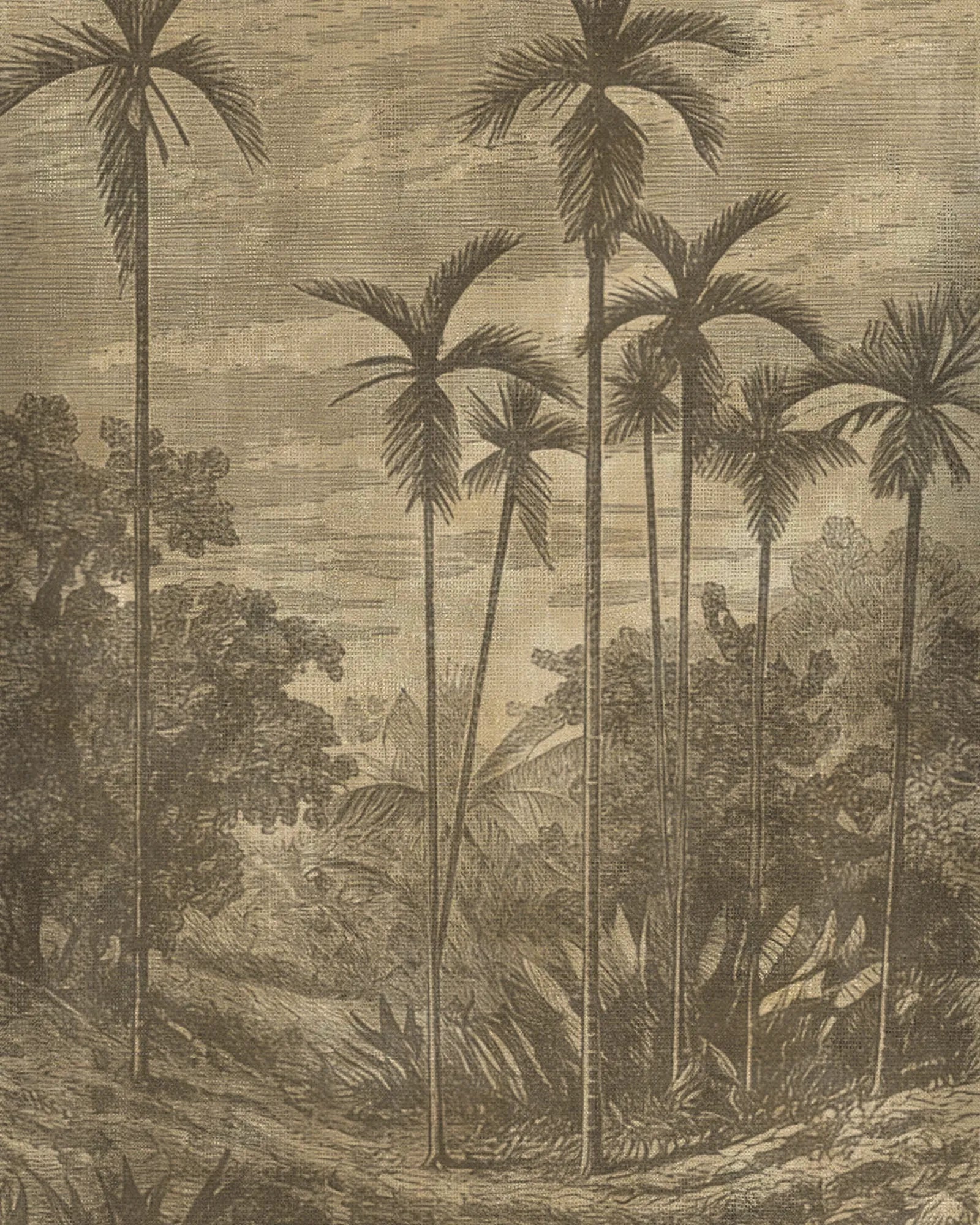 Papel Mural Grabado Palmeras Portis