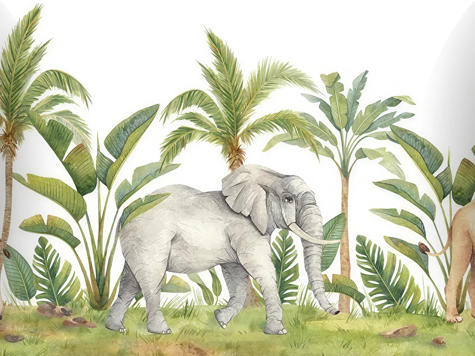 Papel Mural Jungla Tropical Portis