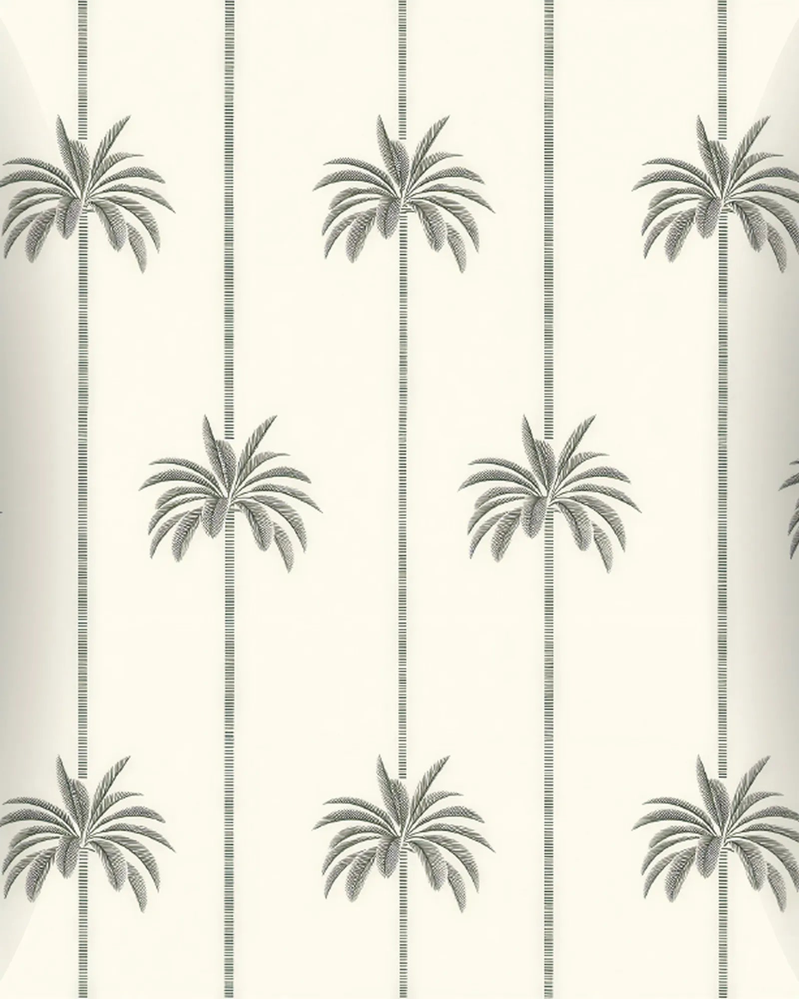 Papel Mural Palmera Lineal Portis