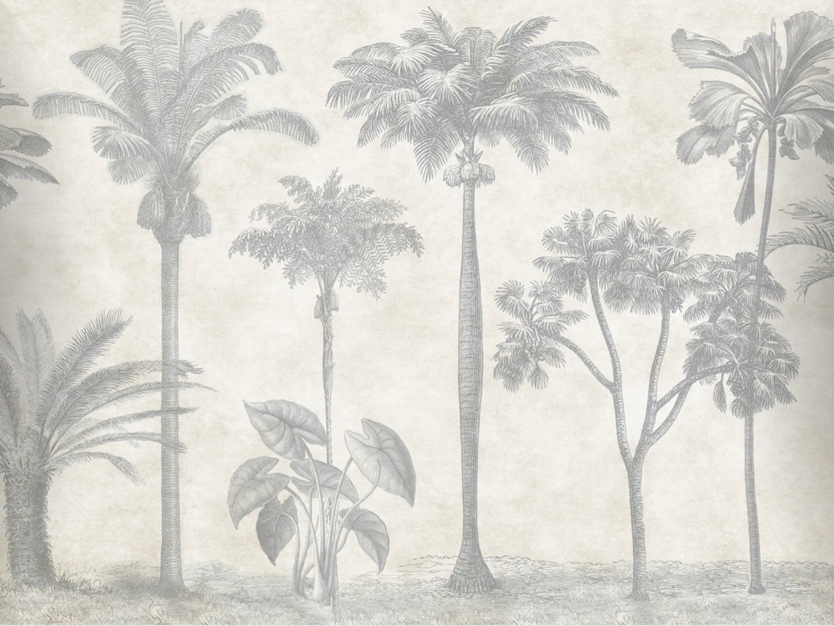 Papel Mural Palmeral Antiguo Portis