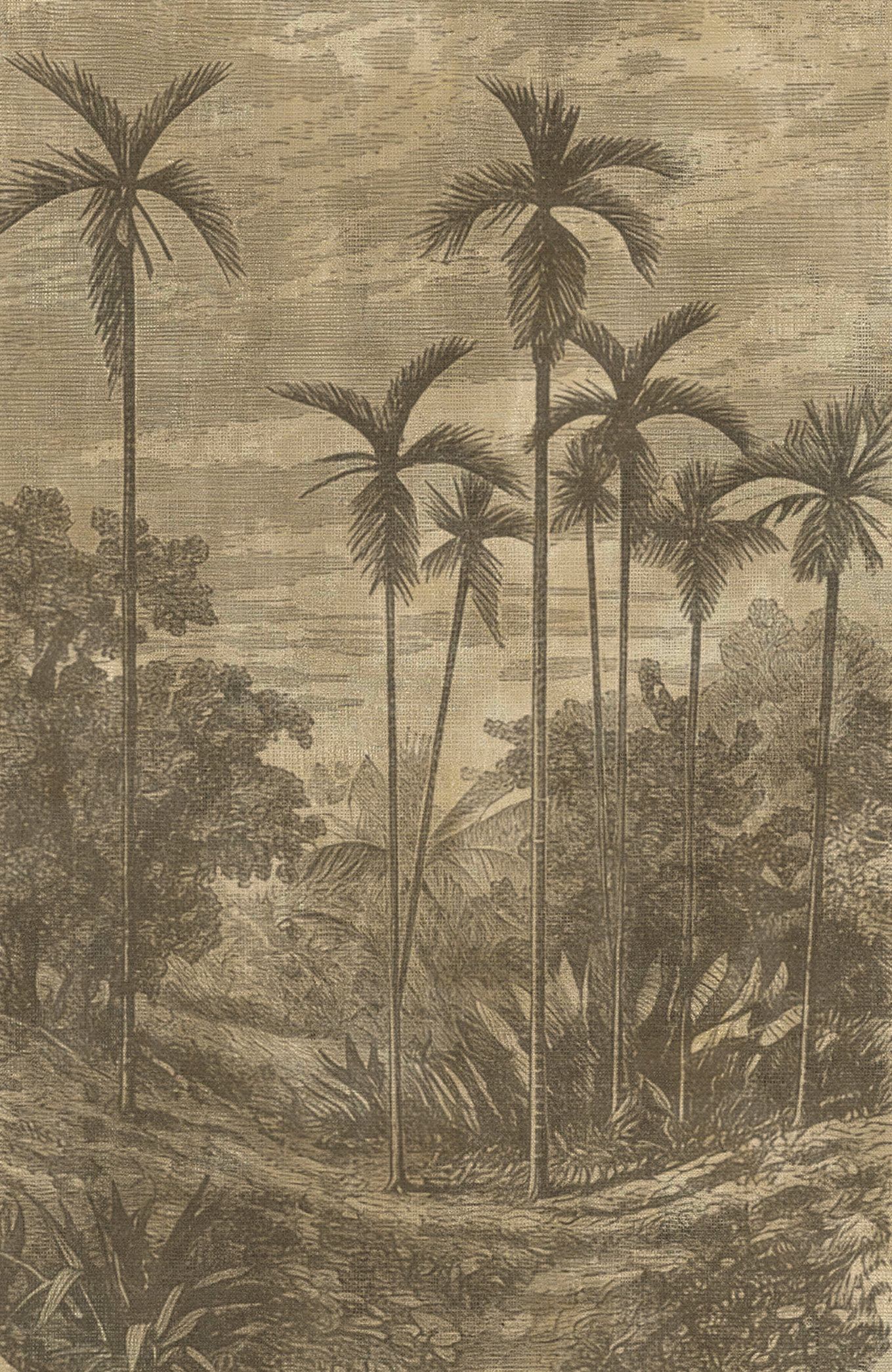 Grabado Palmeras