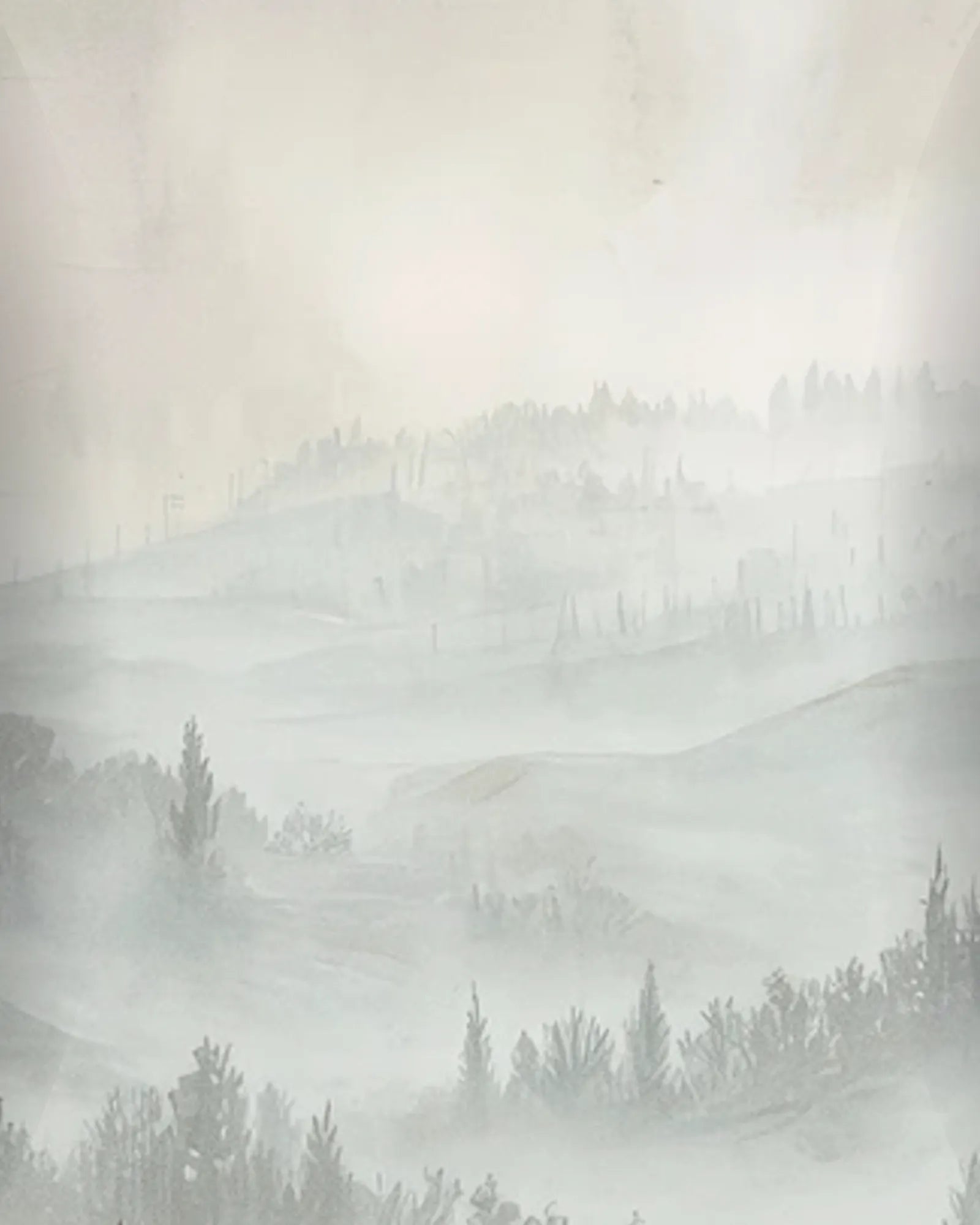 Papel Mural Valle en Niebla Portis